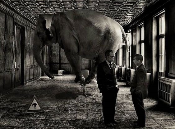 The Elephant in the room